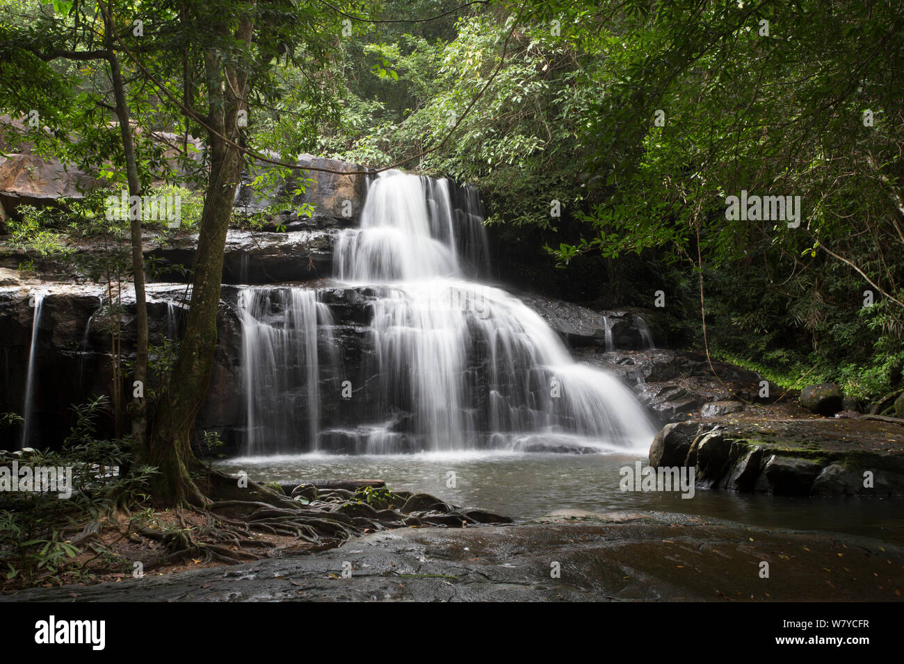 Wasserfall, Pang Pang Sida Sida Nationalpark, Dong Phayayen-Khao Yai Forest Complex, Ost Thailand, August. Stockfoto