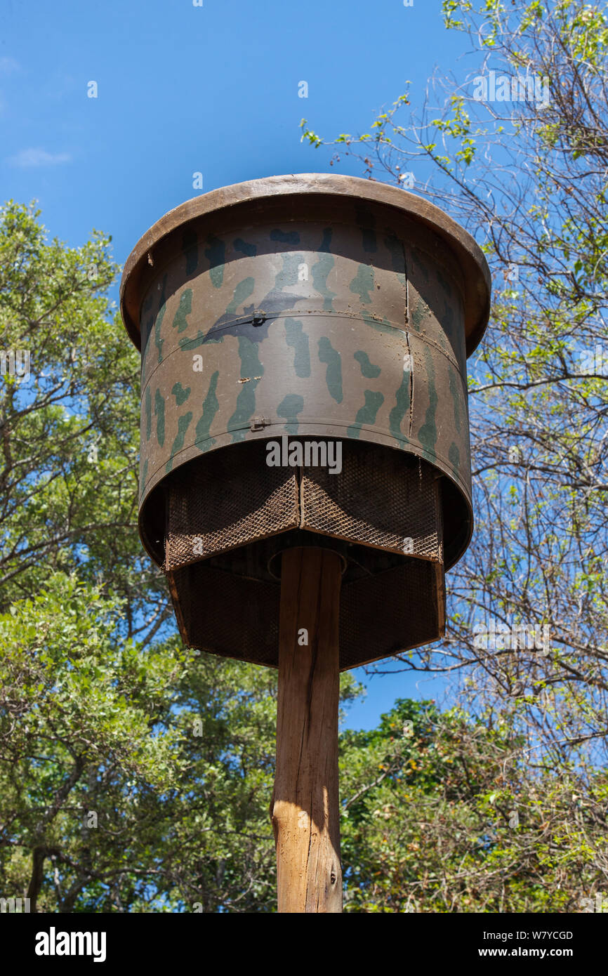 AC118 Bat House, Letaba Restcamp, Krüger, Südafrika. Stockfoto