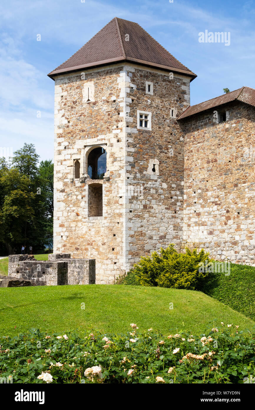 Die Burg von Ljubljana auf einem Hügel über der Stadt Ljubljana Slowenien Eu Europa Stockfoto