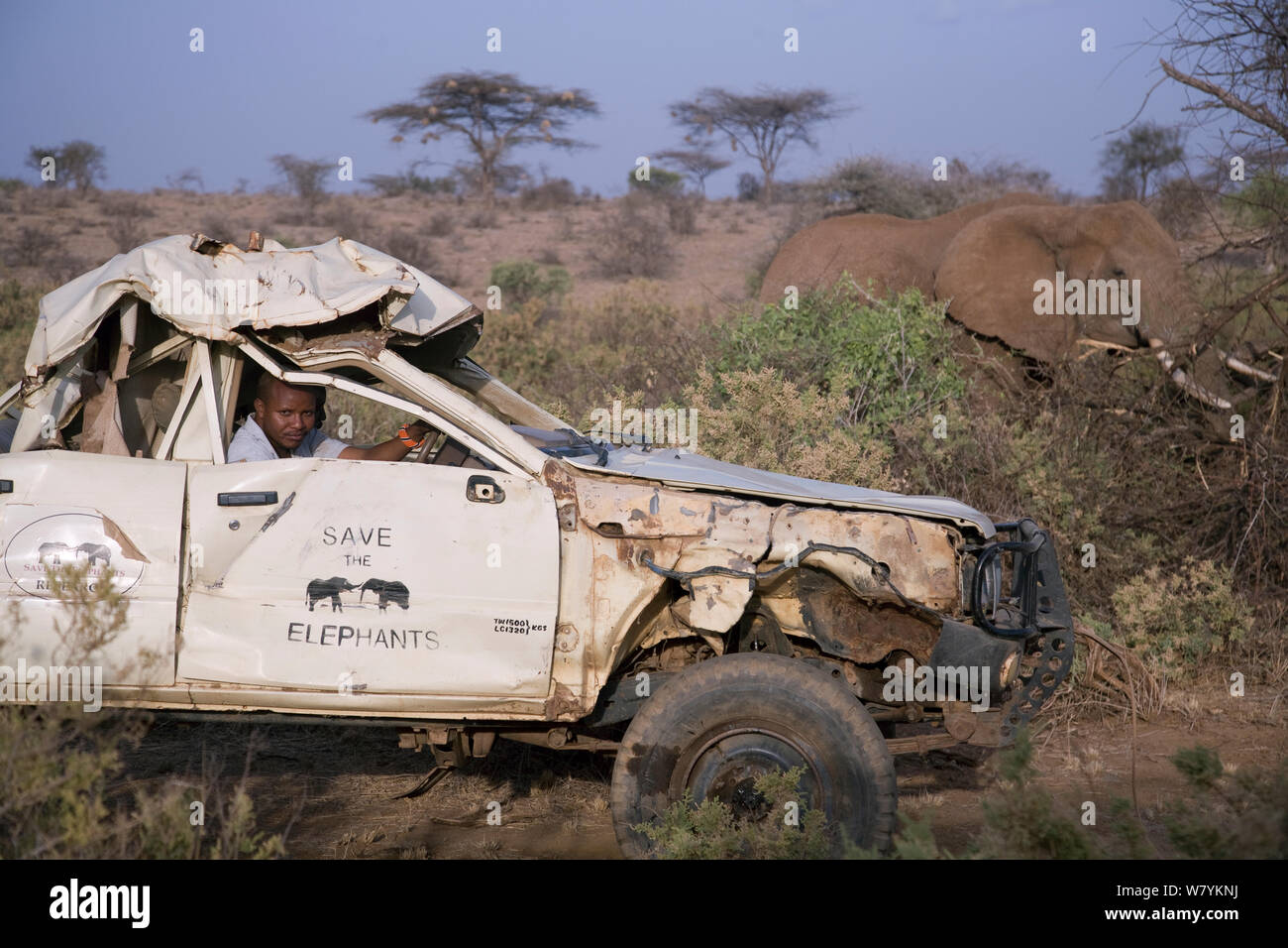 Daniel Lentipo fahren die ehemalige Forschung Fahrzeug von Bull Elephant in Samburu National Reserve, Kenia zerstört. August 2009. Model Released. Stockfoto
