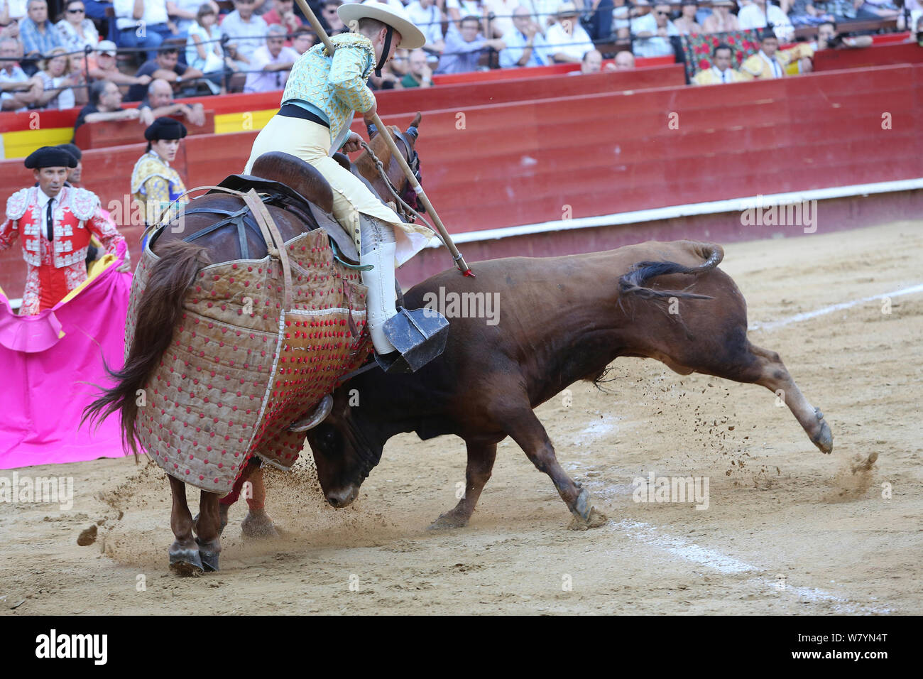 Stier umklappen Pferd durch das Tragen von schützender&#39; Peto&#39; padding in der ersten Runde der Stierkampf, Tercio de Varasbull, Plaza de Toros, Valencia, Spanien, Juli 2014. Stockfoto
