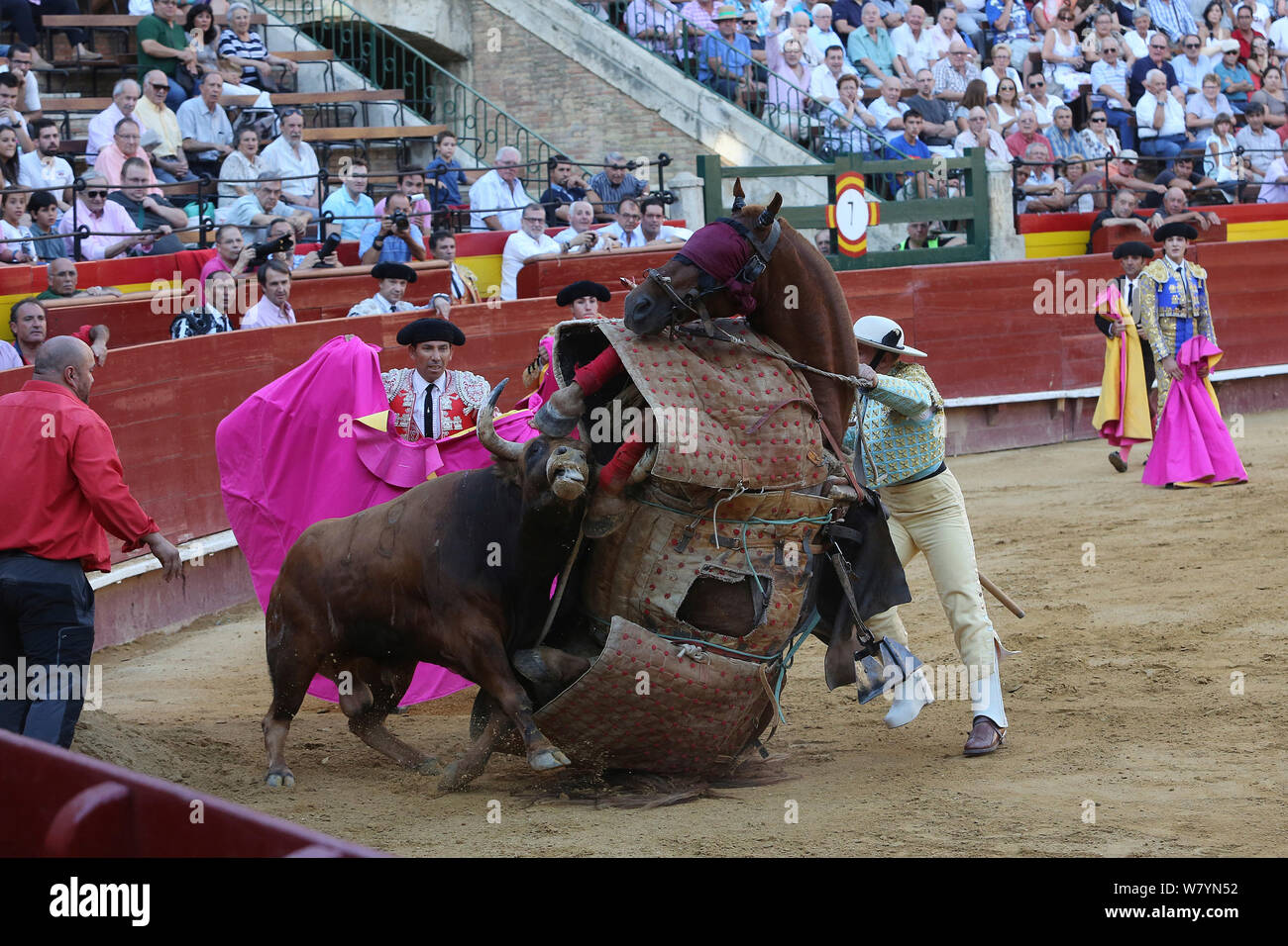 Stier umklappen Pferd durch das Tragen von schützender&#39; Peto&#39; padding in der ersten Runde der Stierkampf, Tercio de Varasbull, Plaza de Toros, Valencia, Spanien, Juli 2014. Stockfoto