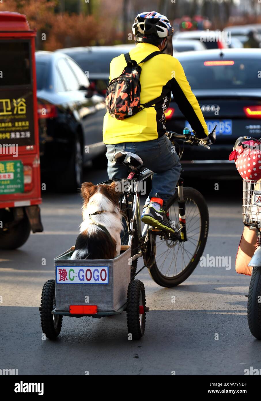 Ein chinesischer Radfahrer Spaziergänge sein Haustier Hund mit einem Mini - Größe zweirädriges Fahrzeug in Luoyang City, Central China Provinz Henan, 26. März 2017. Eine Chinesische c Stockfoto