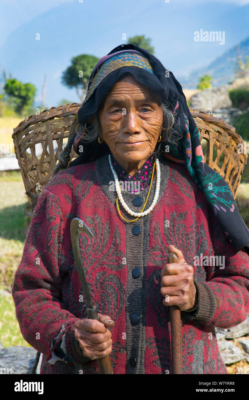 Älterer Bauer mit Korb auf dem Rücken, Ghandruk, Modi Khola Tal, Himalaya, Nepal. November 2014. Stockfoto