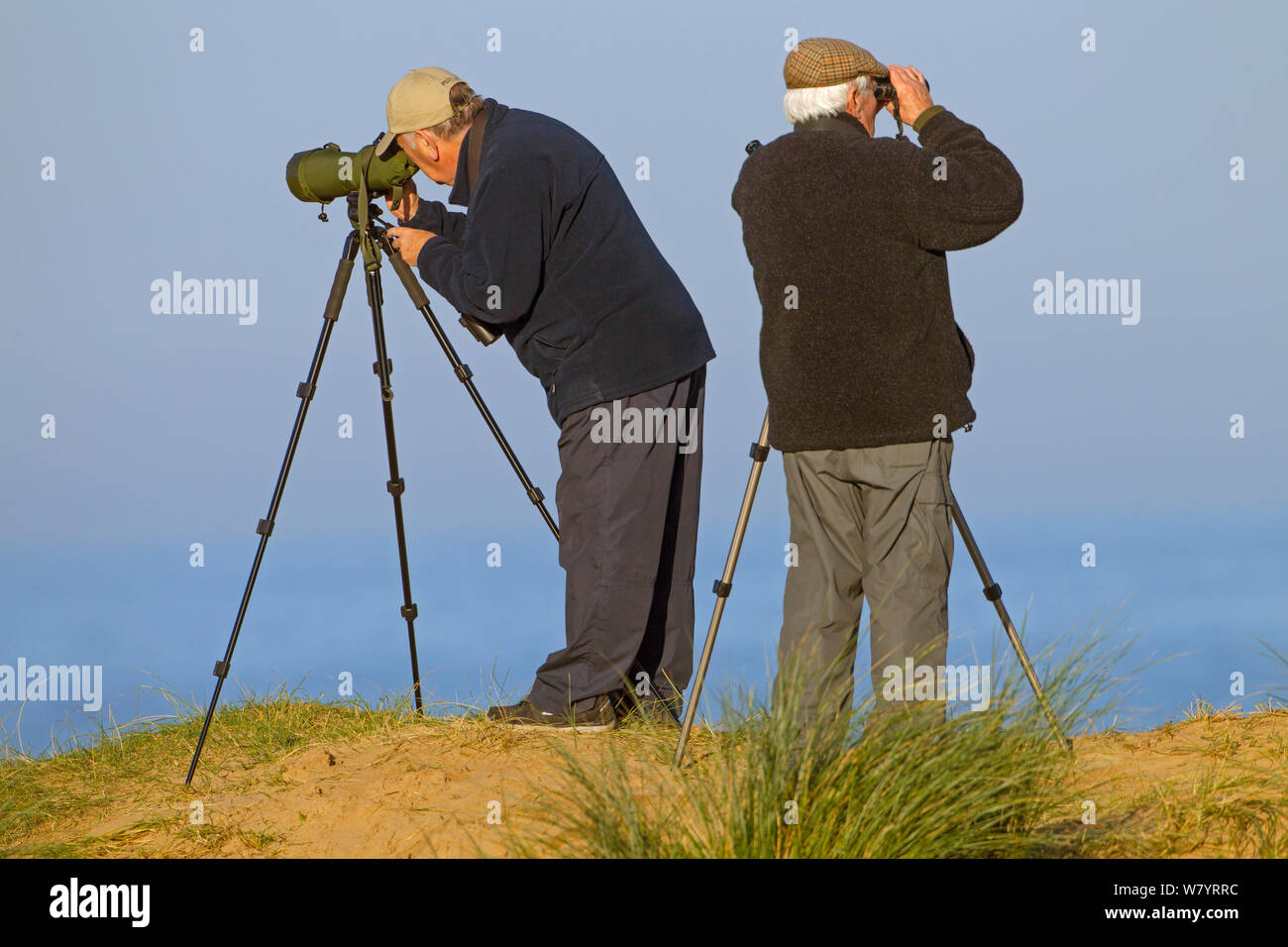 Zwei männliche Vogelbeobachter mit einem Teleskop und Fernglas auf Titchwell RSPB Reservat, Norfolk, England, UK. November 2014. Stockfoto