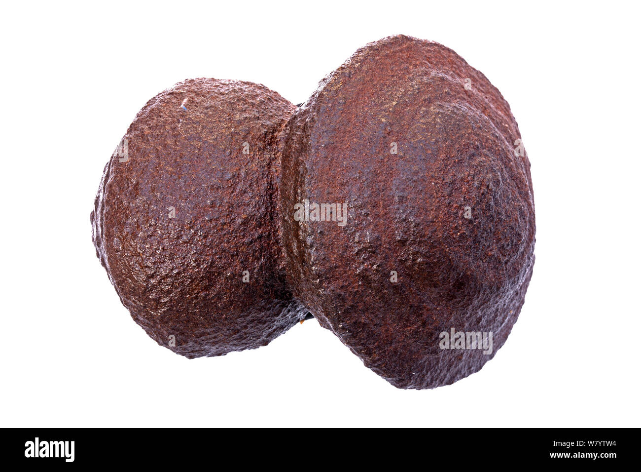 Moqui Marbles (Eisenoxid beschichtete Sandstein konkretionen), Utah, USA. Stockfoto