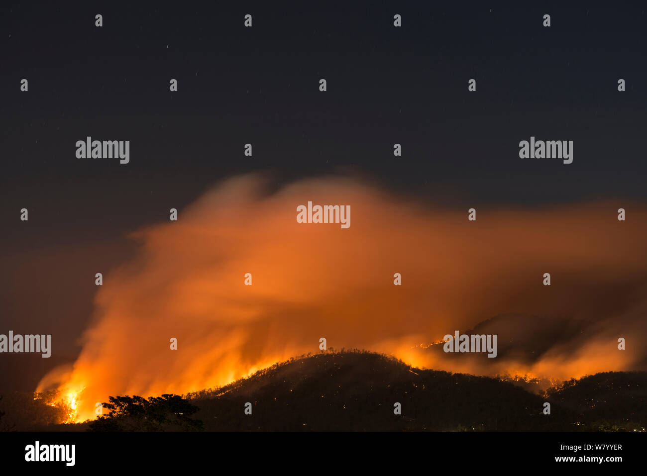 Kontrollierte bush Fire als Lebensraum Management, nachts, Atherton Tablelands, Queensland, Australien. Stockfoto
