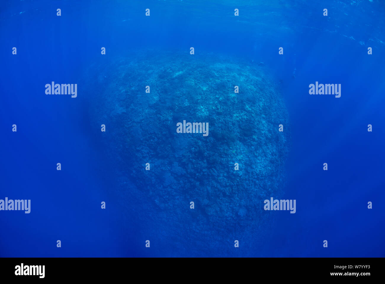 Great Barrier Reef mit klarem Wasser, Wissenschaftler im Wasser 50 m entfernt in der rechten oberen Ecke, Great Barrier Reef, Queensland, Australien. September 2014. Stockfoto