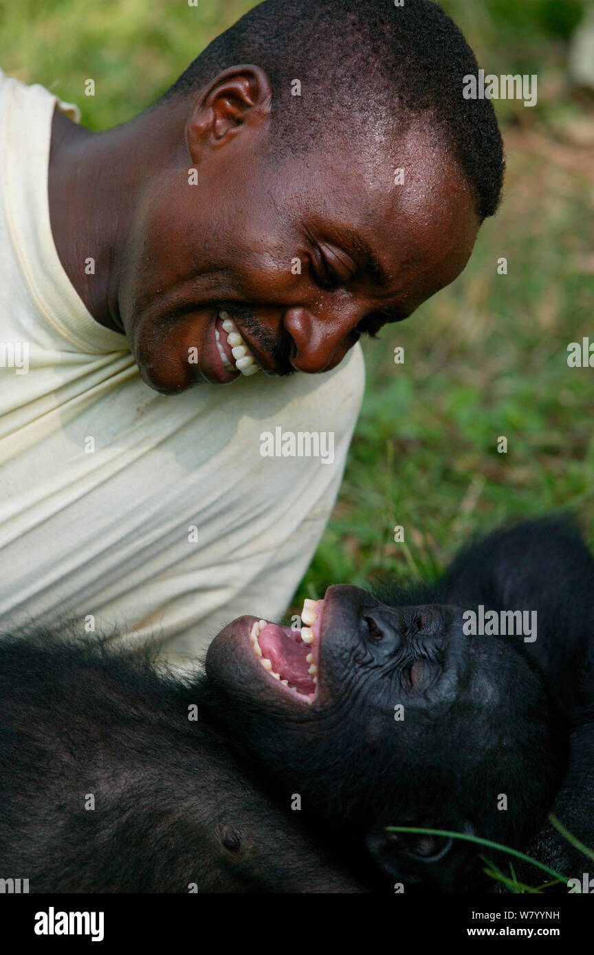 Tierarzt spielen mit ein waisenkind Bonobo (Pan paniscus) Lola Ya Bonobo Heiligtum, der Demokratischen Republik Kongo. Stockfoto
