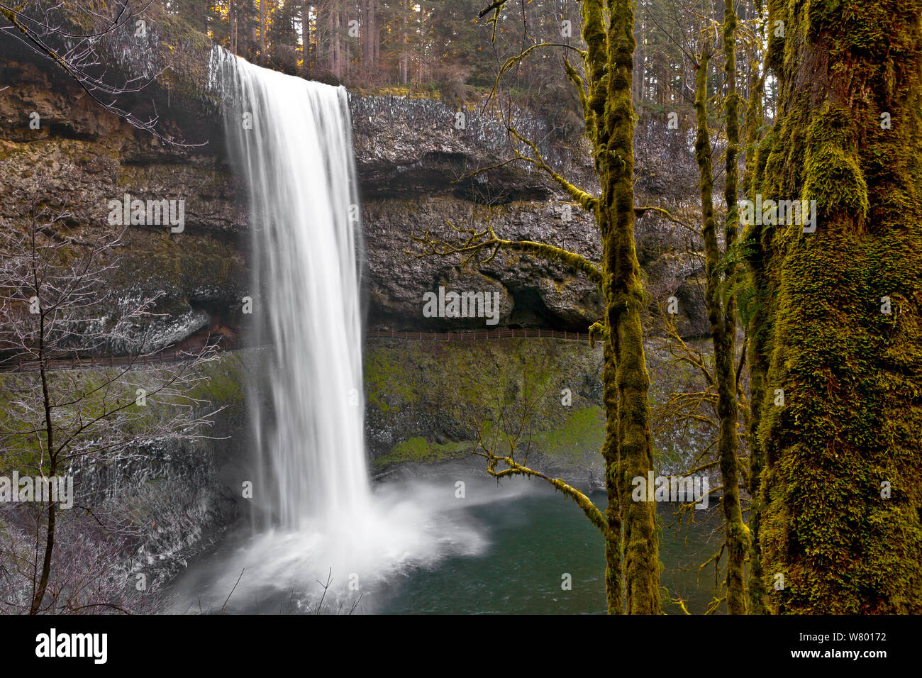 Süden fällt der South Fork Silver Creek, Silver Creek Falls State Park, Oregon, USA. Dezember 2014. Stockfoto