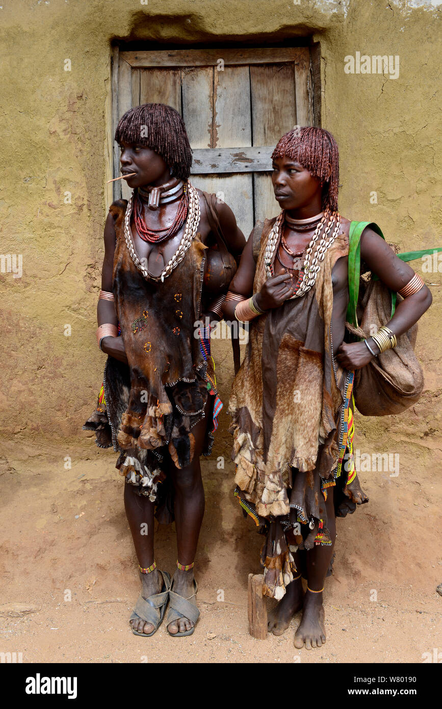 Hamer Frauen in traditioneller Kleidung und Schmuck. Untere Omo Tal. Äthiopien, November 2014 Stockfoto