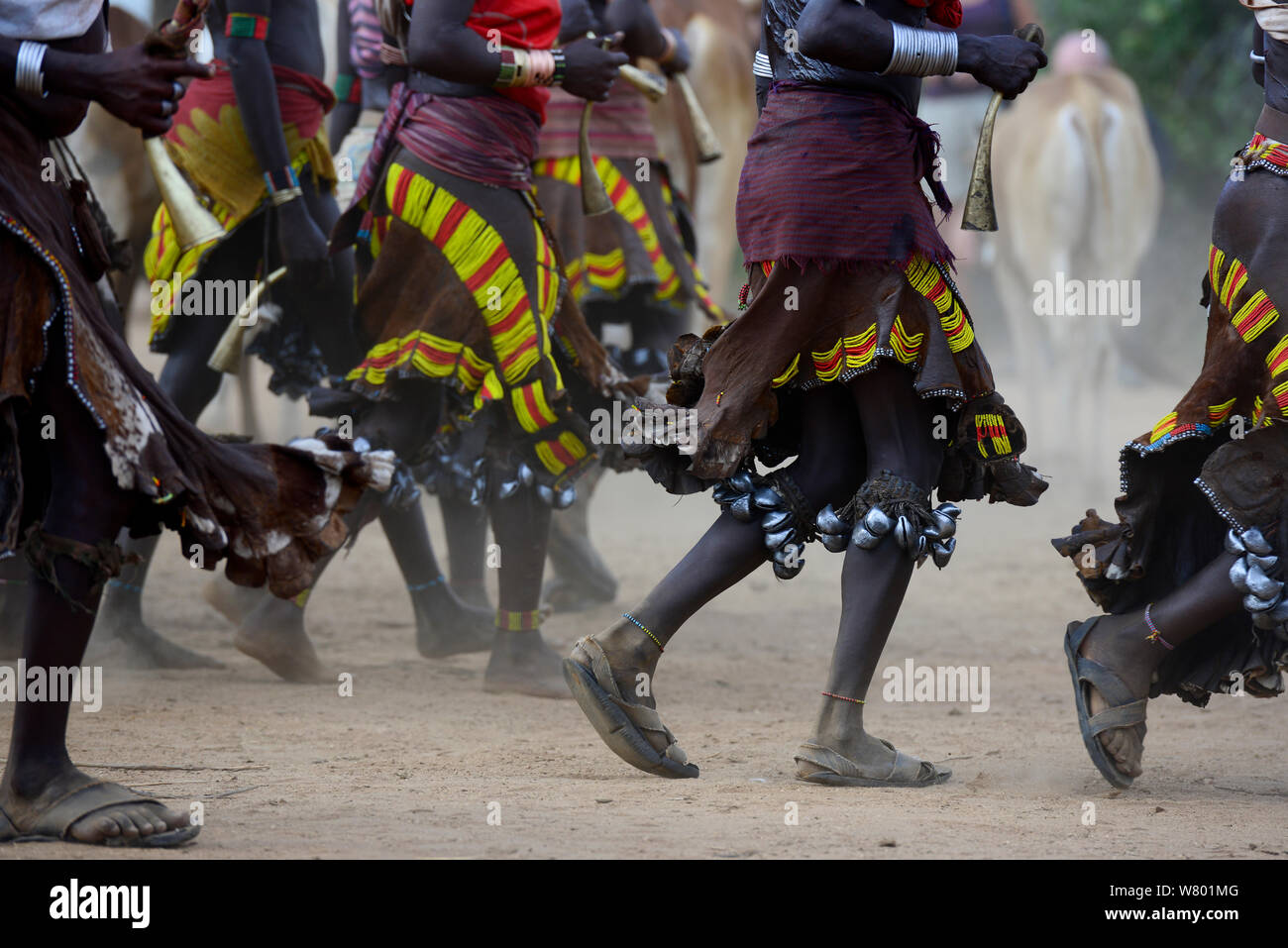 Frauen tanzen im Springen der Bullen Hamer Zeremonie. Diese Zeremonie ist eine Hamer ein Durchgang in die Männlichkeit für Hamer Jungen. Während der Zeremonie junge weibliche Angehörige der jungen gepeitscht werden betteln. Die tieferen ihre Narben, die mehr Liebe, die sie für ihre Jungen zeigen. Äthiopien, November 2014 Stockfoto