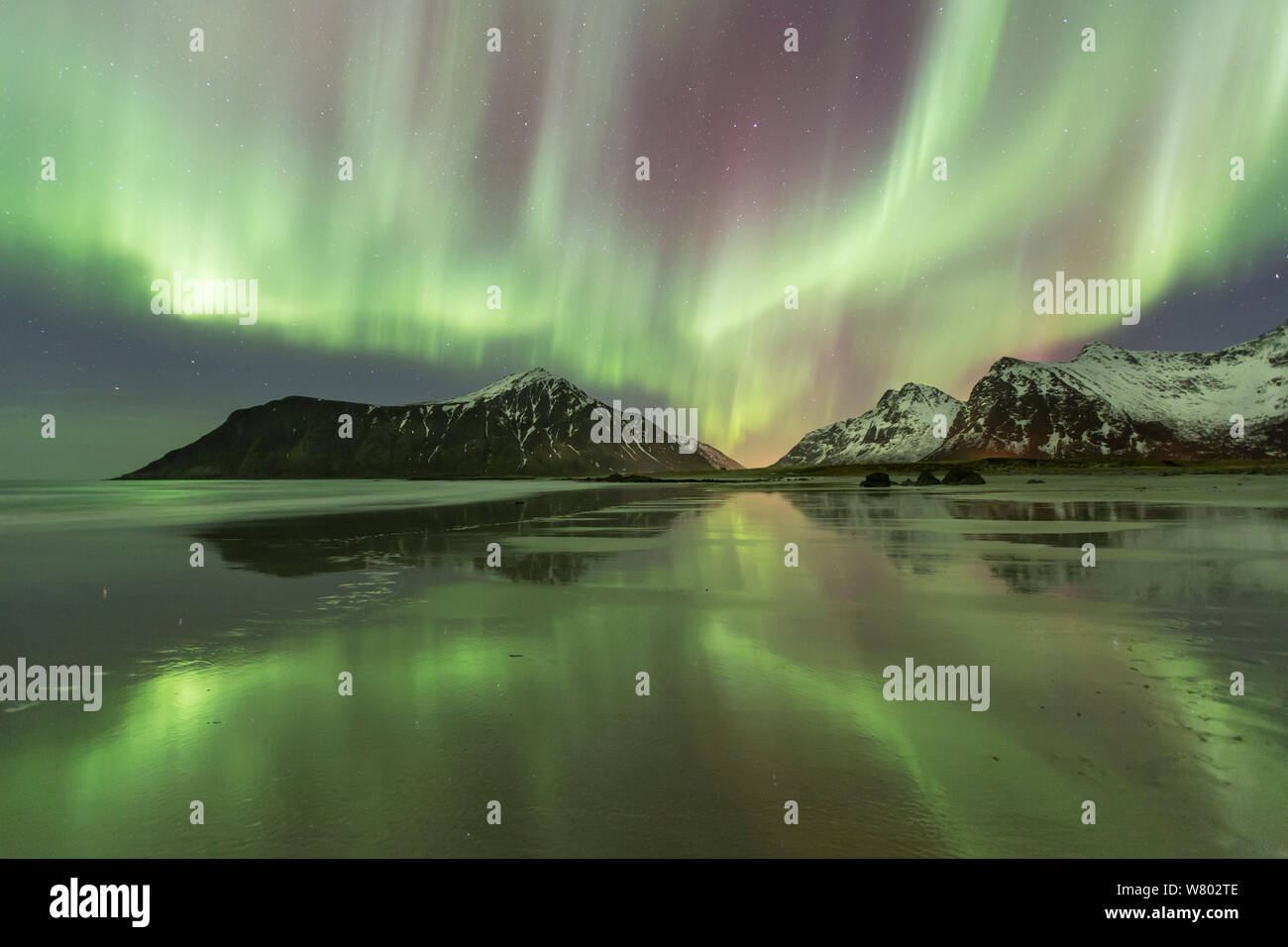 Nordlichter (Aurora Borealis) über Skagsanden Beach, Flakstadoya, Lofoten, Norwegen. März 2015. Stockfoto