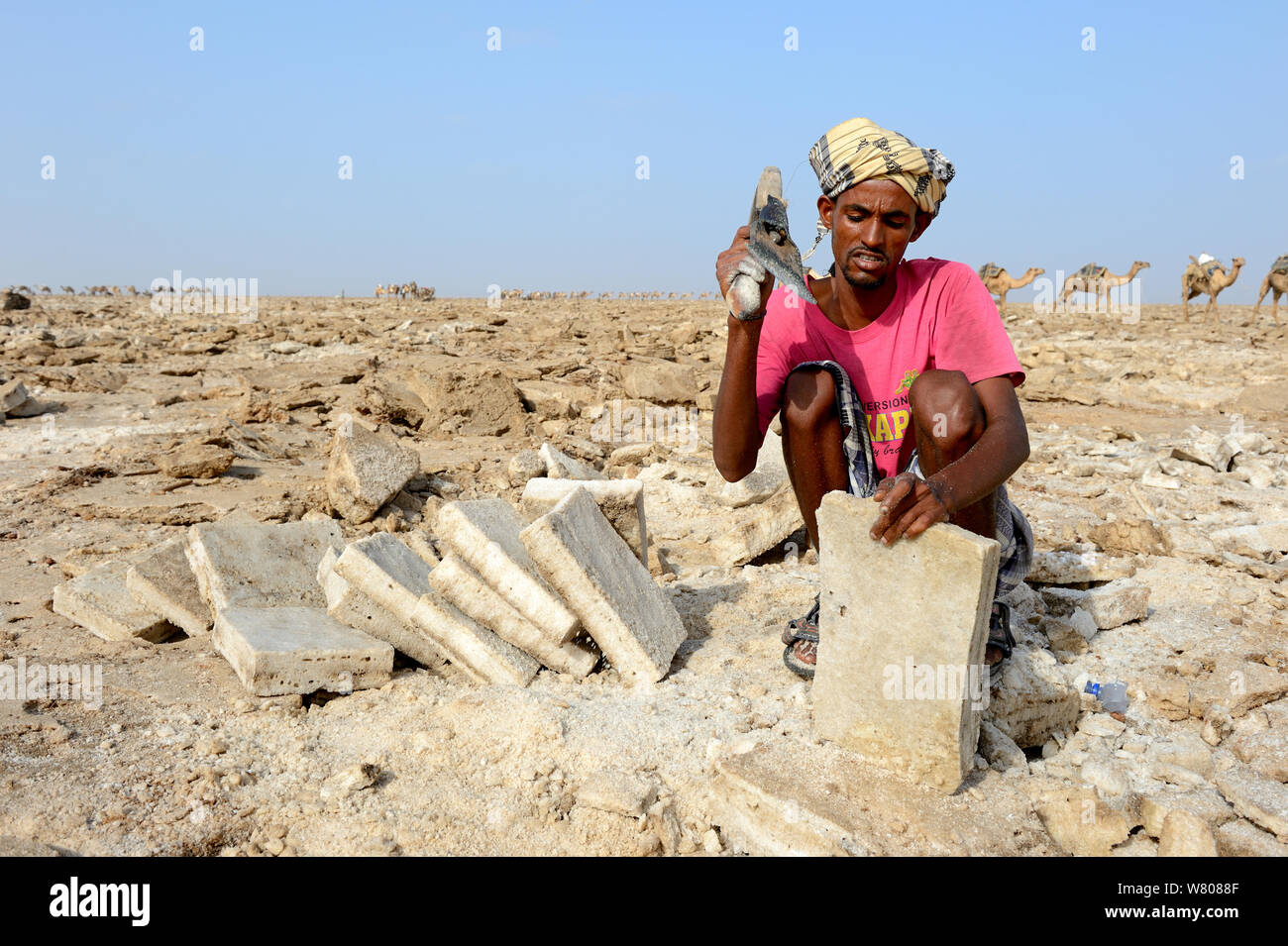 Von Ferne Mann in Blöcke schneiden Salz, See Assale, Danakil Depression, ferne Region, Äthiopien, März 2015. Stockfoto