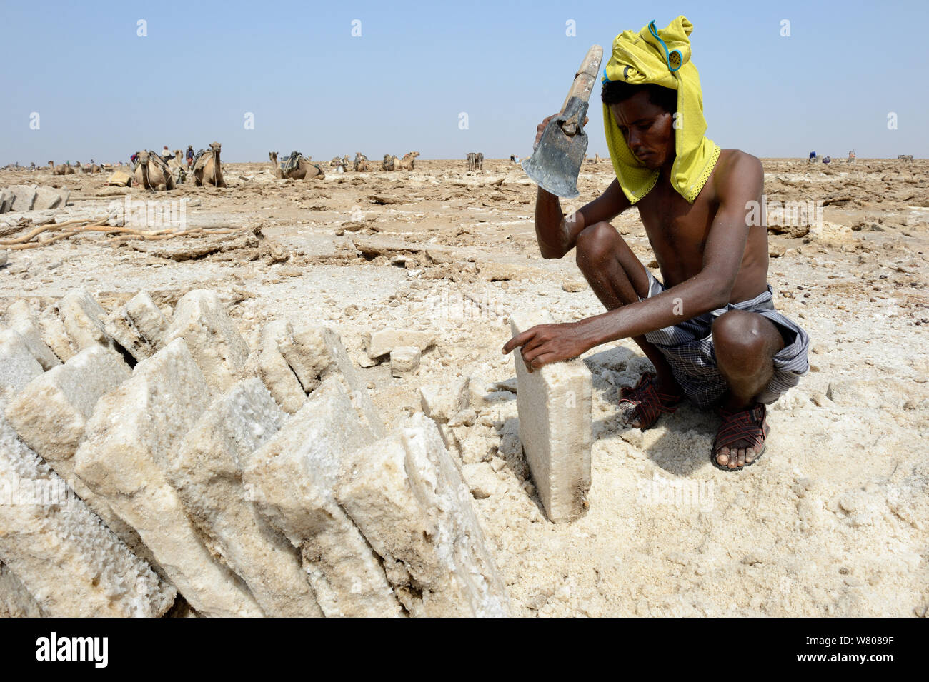 Von Ferne Mann in Blöcke schneiden Salz, See Assale, Danakil Depression, ferne Region, Äthiopien, März 2015. Stockfoto