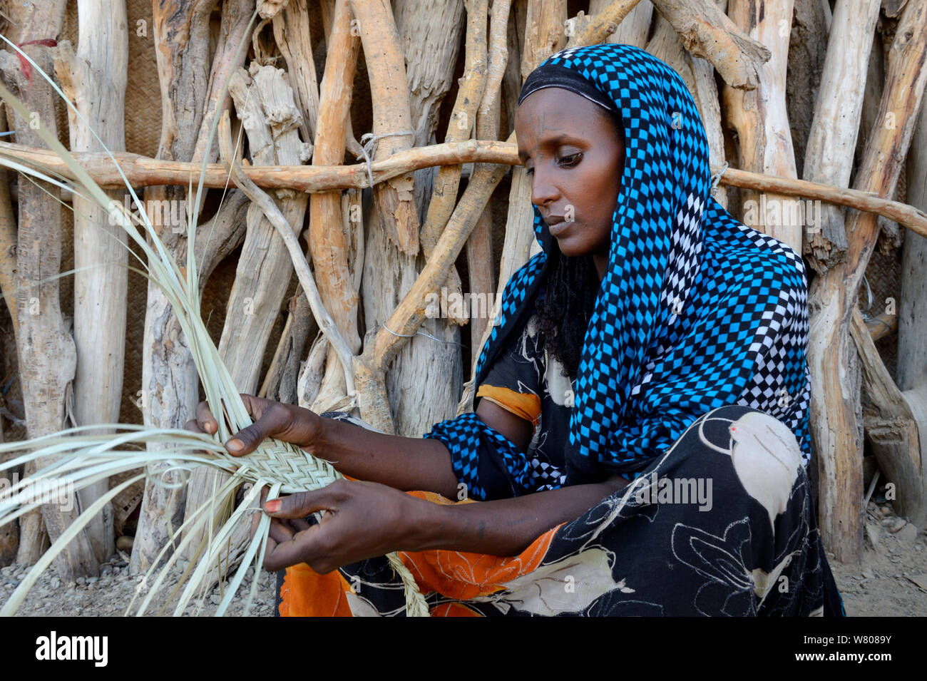 Von Ferne Frau Weberei Palmwedel zu Matten, die als Wände für ihre Hütten verwendet wird, Malab-Dei Dorf, Danakil Depression, ferne Region, Äthiopien, März 2015. Stockfoto