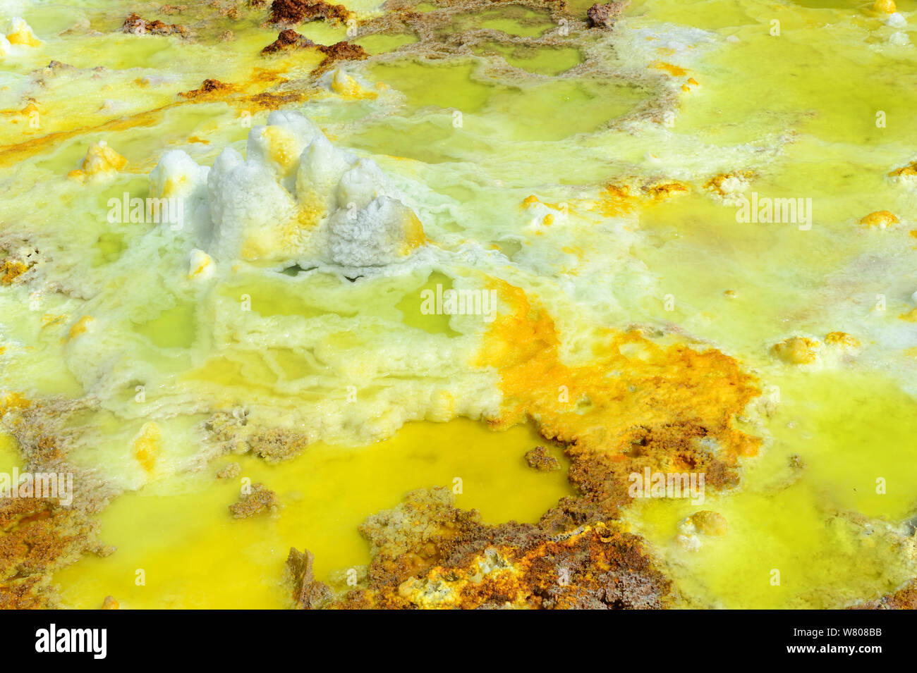 Dallol hot spring mit Salz Konkretionen farbigen von Schwefel, Kalium und Eisen, Dallol Vulkan, die danakil Depression, Äthiopien, März 2015. Stockfoto