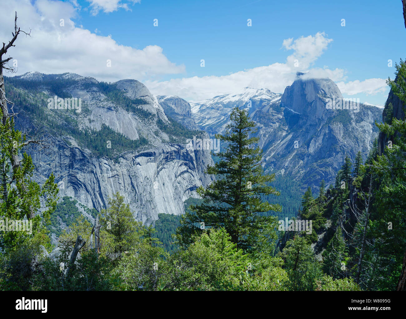 Half Dome zu sehen von 4 Meile Versuch, Yosemite National Park, Kalifornien, USA Stockfoto