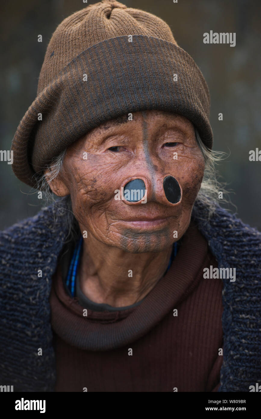 Apatani Frau in Feldern. Die Frau hat facial Tattoos und traditionellen Nase Stecker/Yapin Hul eines Stocks Scheibe gemacht. Dies war, um ihren Blick unattraktiv für Männer aus anderen Stämmen, eine Praxis, die jetzt verboten. Apatani Stamm, Ziro Tal, Himalayan Foothills, Arunachal Pradesh. North East India, November 2014. Stockfoto