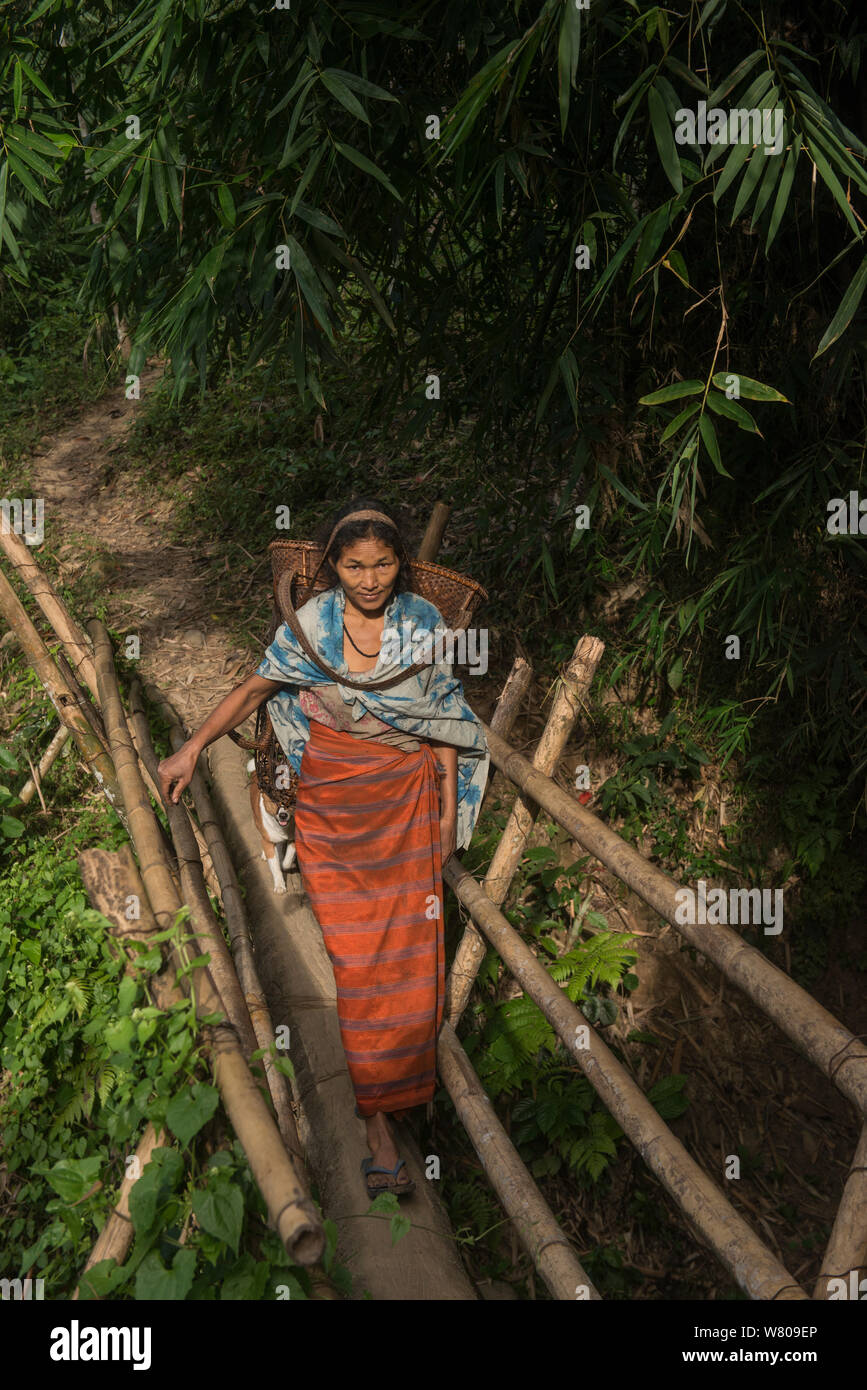 Adi Gallong Frau Kreuzung Brücke mit Reis Warenkorb, Adi Gallong Stamm, Arunachal Pradesh, North East India, November 2014. Stockfoto