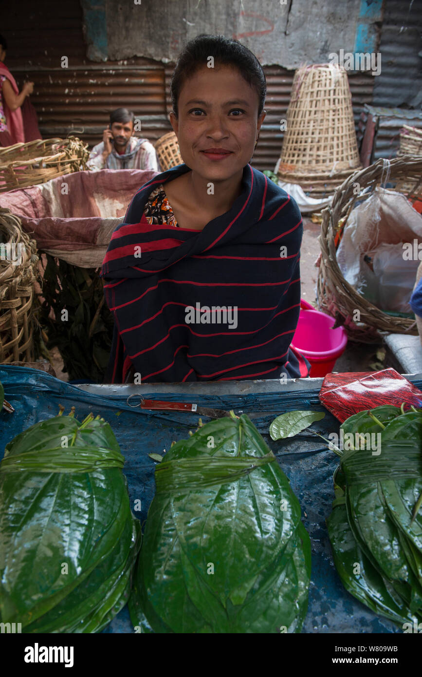 Frau verkaufen betelblatt (Piper betle) ein mildes Stimulanz, Barabazar Markt, Shillong, Meghalaya, North East India. Oktober 2014 Stockfoto