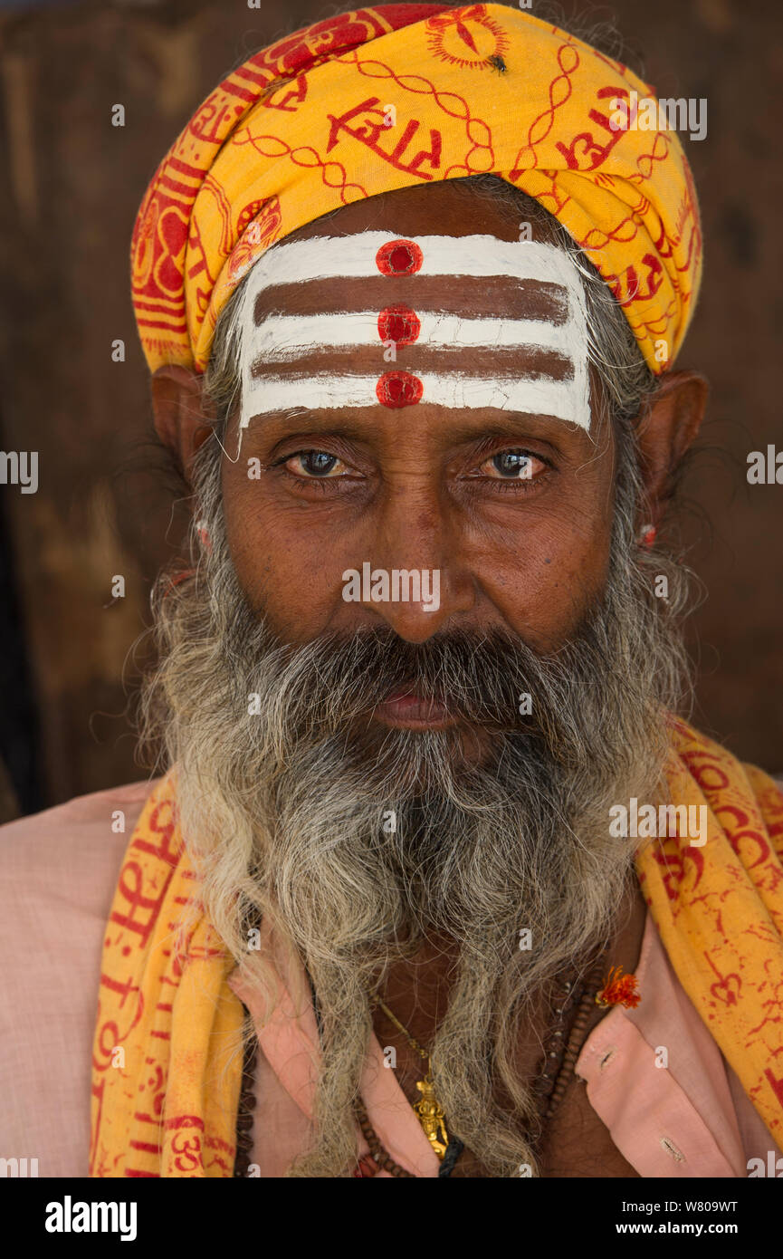 Porträt eines heiligen Mannes/Sadhu mit Bindi, bateshwar Tempel, Uttar Pradesh, Indien, Oktober 2014. Stockfoto