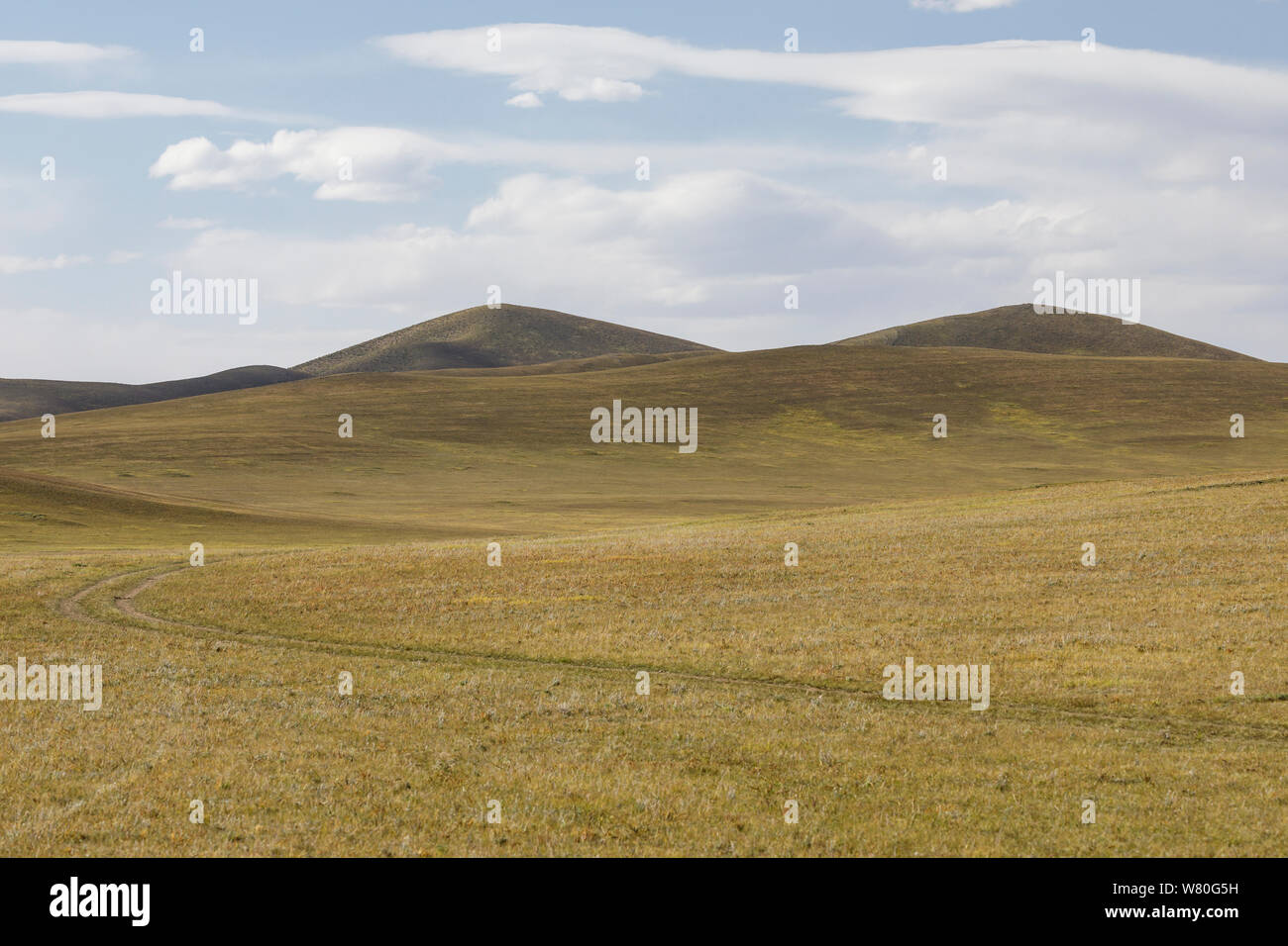 Die weiten Landschaften von khentii Provinz in der Mongolei. Stockfoto