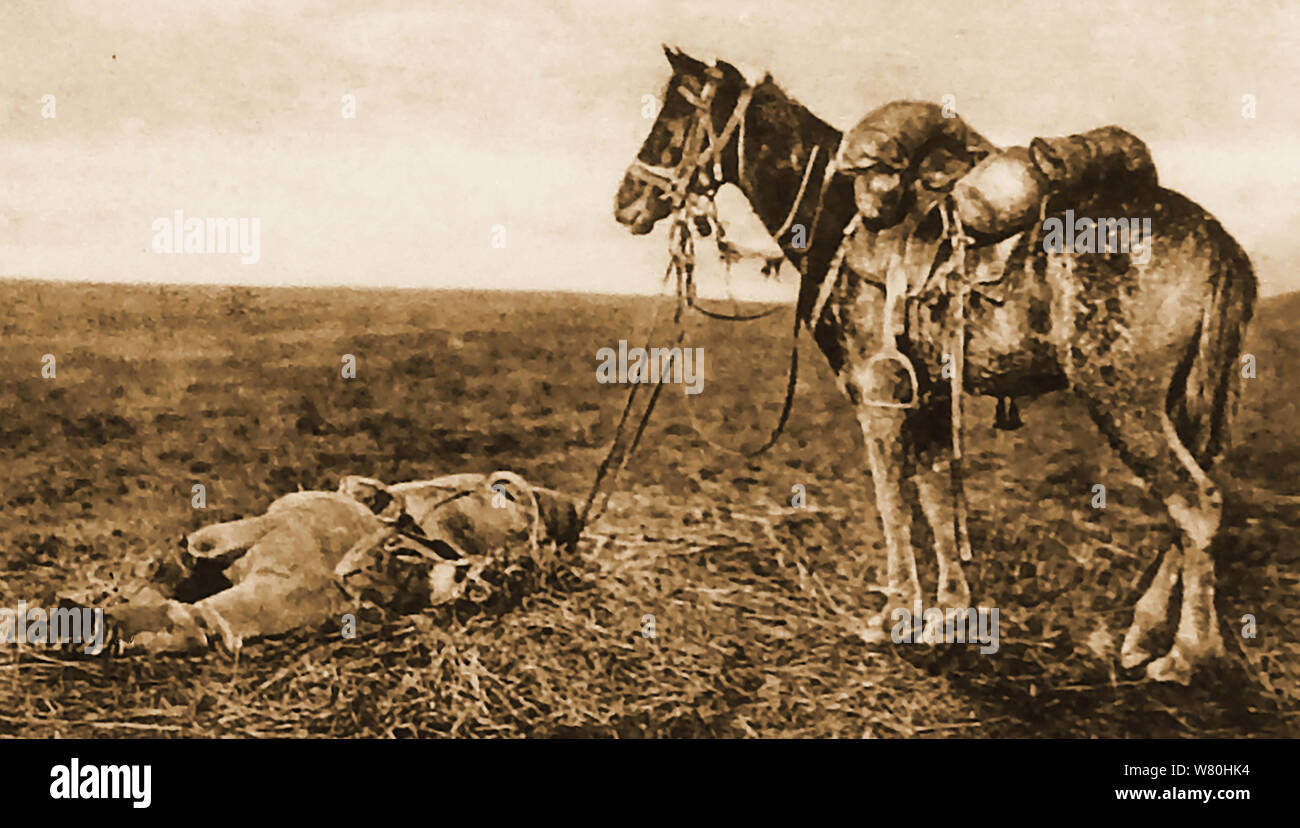 WWI - eine erschütternde Bild von einem Krieg Pferd mit Zügel immer noch in den Händen seiner toten Reiter. Stockfoto