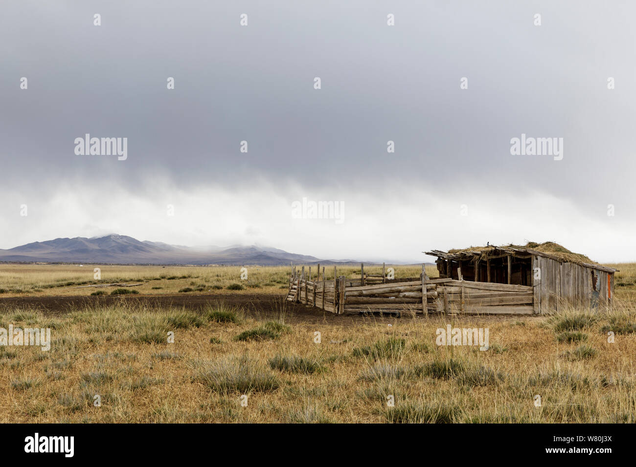 Die weiten Landschaften von Khogno Khan Nationalpark in der Mongolei. Stockfoto