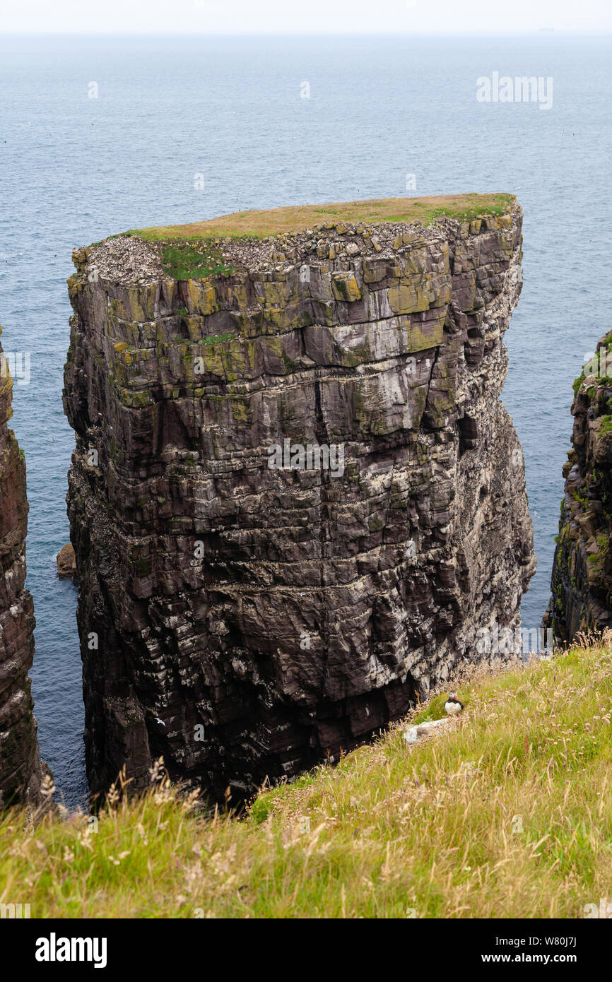 Der große Stapel auf Handa Island vor der Westküste Schottlands. Stockfoto