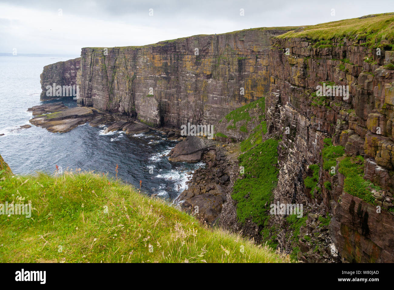 Die massiven Felsen auf der Insel Handa vor der Westküste Schottlands. Stockfoto