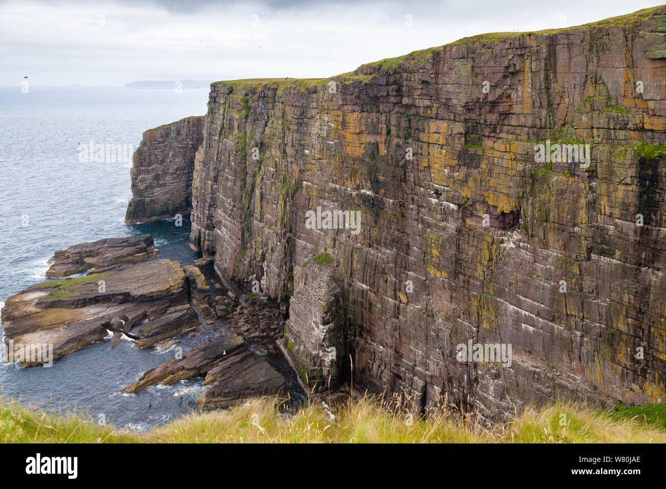 Die massiven Felsen auf der Insel Handa vor der Westküste Schottlands. Stockfoto