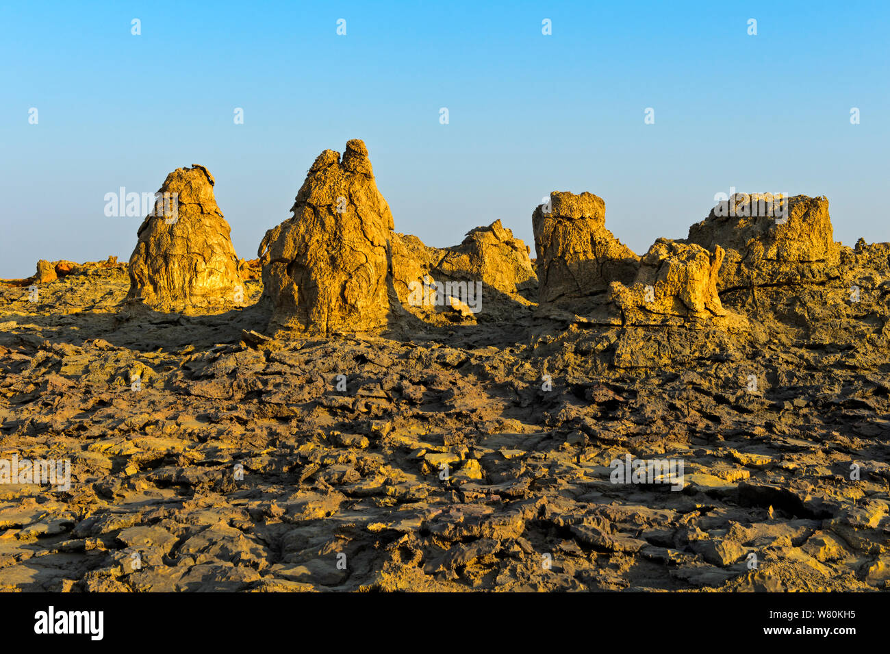 Reliquie geothermie Mounds, geothermische Feld von Dallol, Danakil Depression, Afar Dreieck, Äthiopien Stockfoto