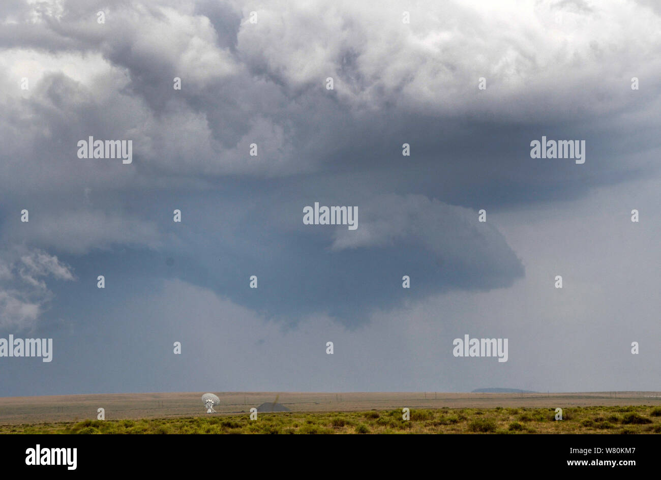 Socorro, New Mexico, USA. 6 Aug, 2019. Monsun Gewitterzellen über den sehr großen Arrays Dienstag. Eine Erhöhung der feuchte Luft aus Mexiko wird prognostiziert einen deutlichen Anstieg in Höhe von Dusche und gewittertätigkeit über die Wüsten und Berge zu bringen. Die Nordamerikanische Monsun erstreckt sich von Juni bis September. Credit: Gene Blevins/ZUMA Draht/Alamy leben Nachrichten Stockfoto