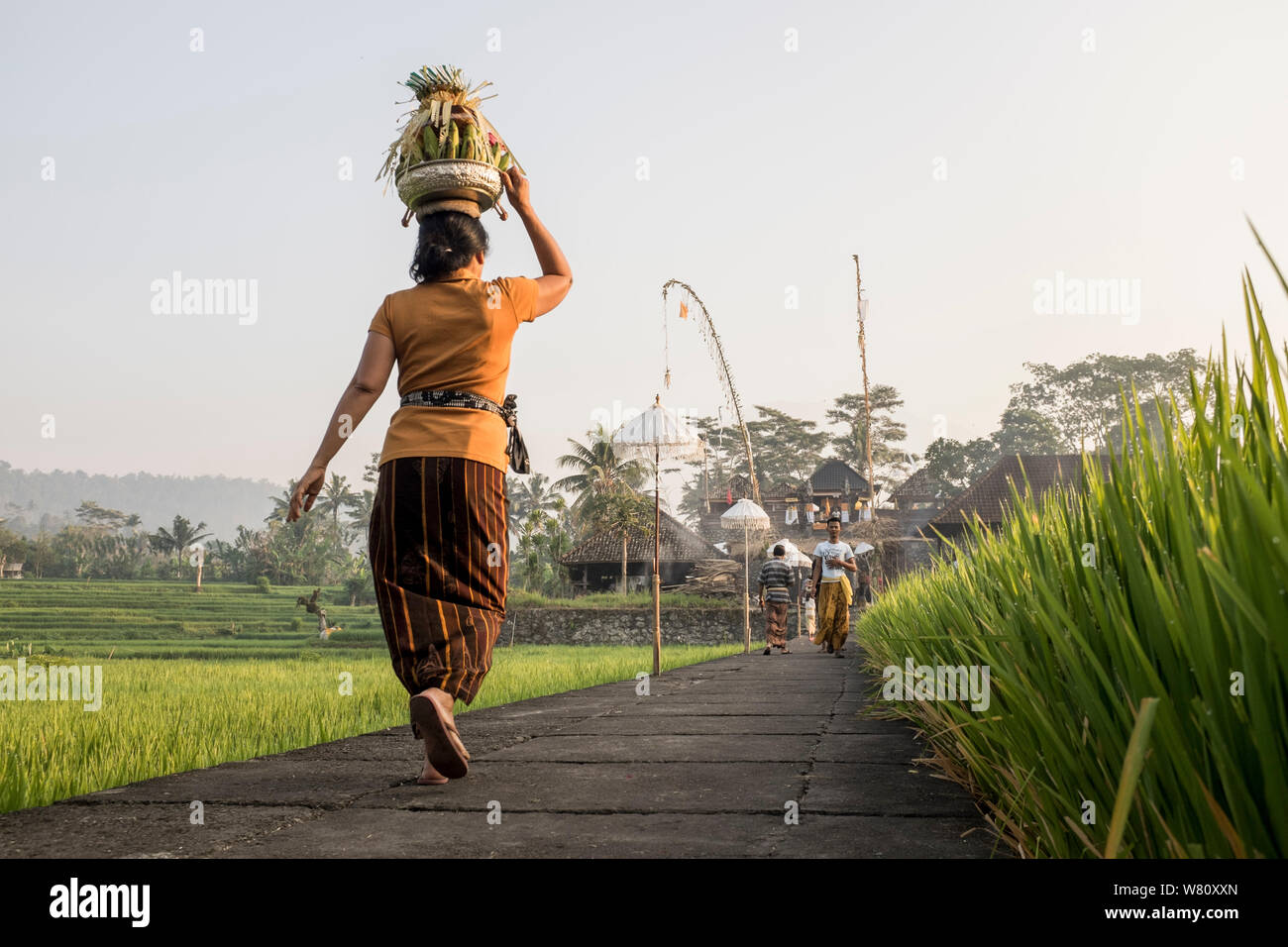 Eine Frau trägt Angebote zu einem Tempel, der während eines Full Moon Festival in Sidemen, Bali, Indonesien. Stockfoto