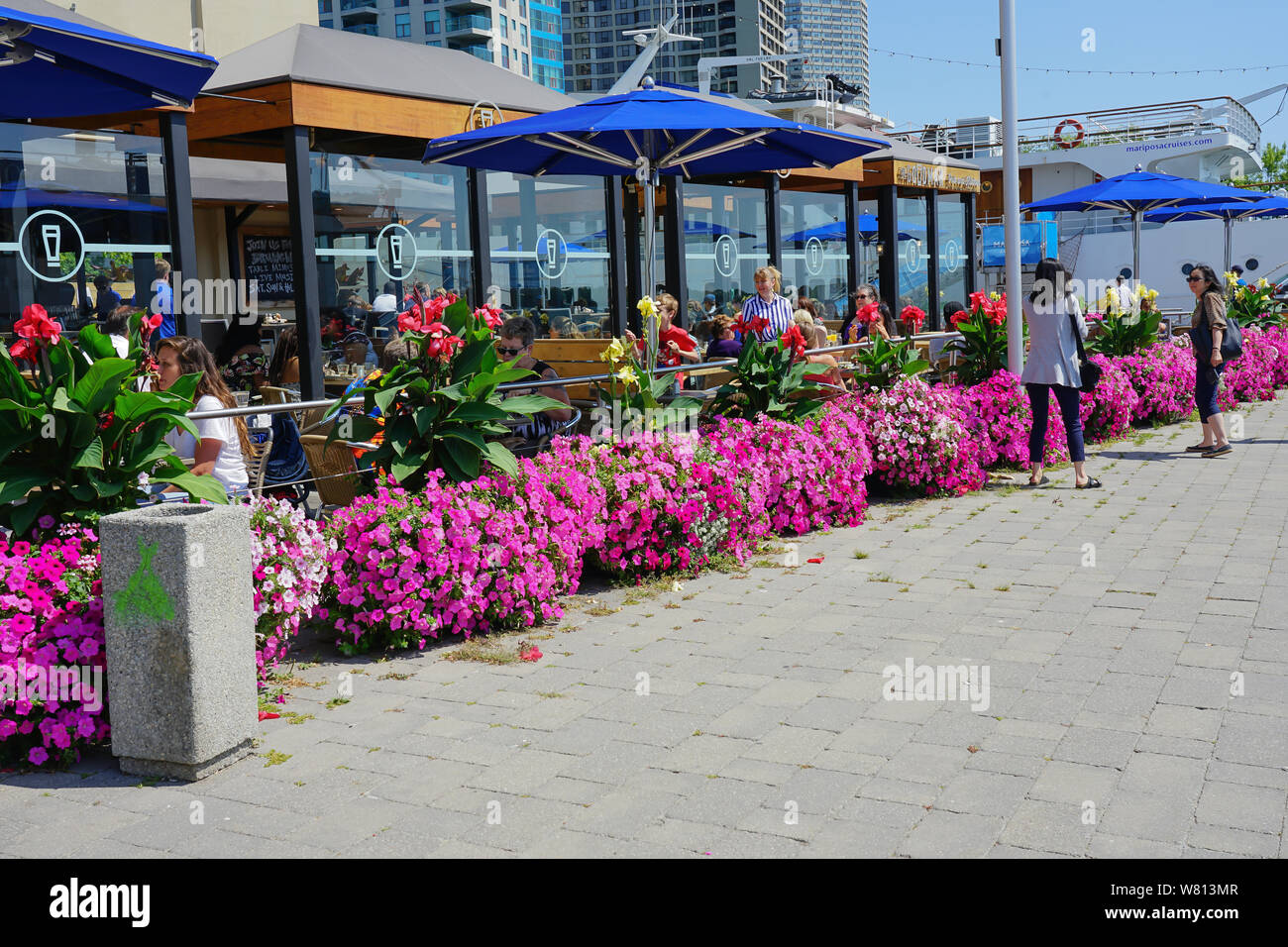 Restaurant im Freien an der Toronto Harbour Front- oder Harbourfront in Ontario, Kanada, im Sommer ein tolles Reiseziel. Stockfoto