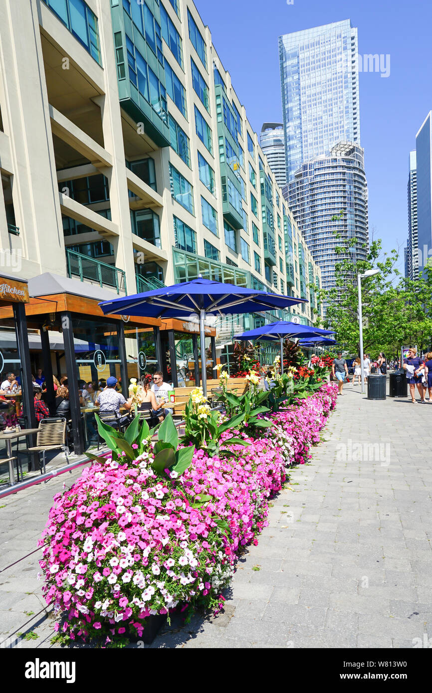 Toronto Hafen - vorne oder Harbourfront in Ontario, Kanada, im Sommer ein tolles Reiseziel. Stockfoto