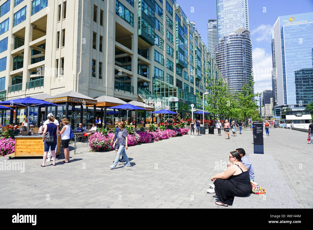 Toronto Hafen - vorne oder Harbourfront in Ontario, Kanada, im Sommer ein tolles Reiseziel. Stockfoto