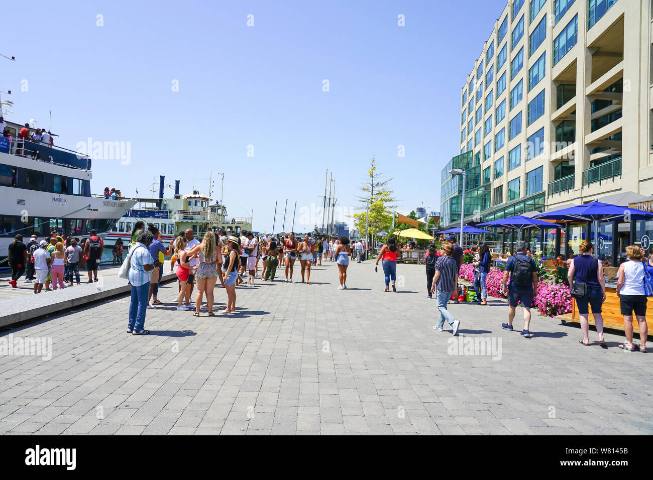 Toronto Hafen - vorne oder Harbourfront in Ontario, Kanada, im Sommer ein tolles Reiseziel. Stockfoto