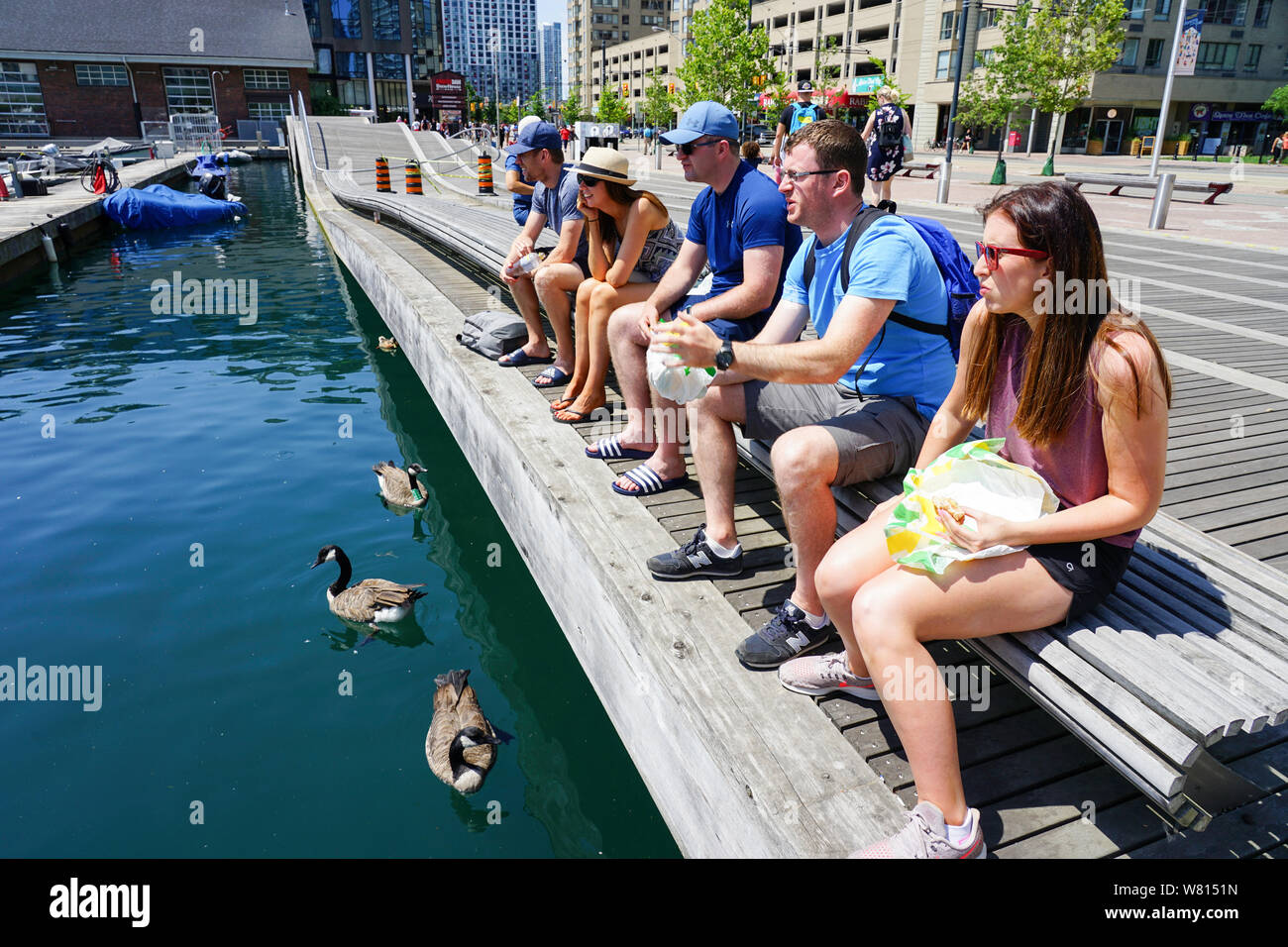 Toronto Hafen - vorne oder Harbourfront in Ontario, Kanada, im Sommer ein tolles Reiseziel. Stockfoto
