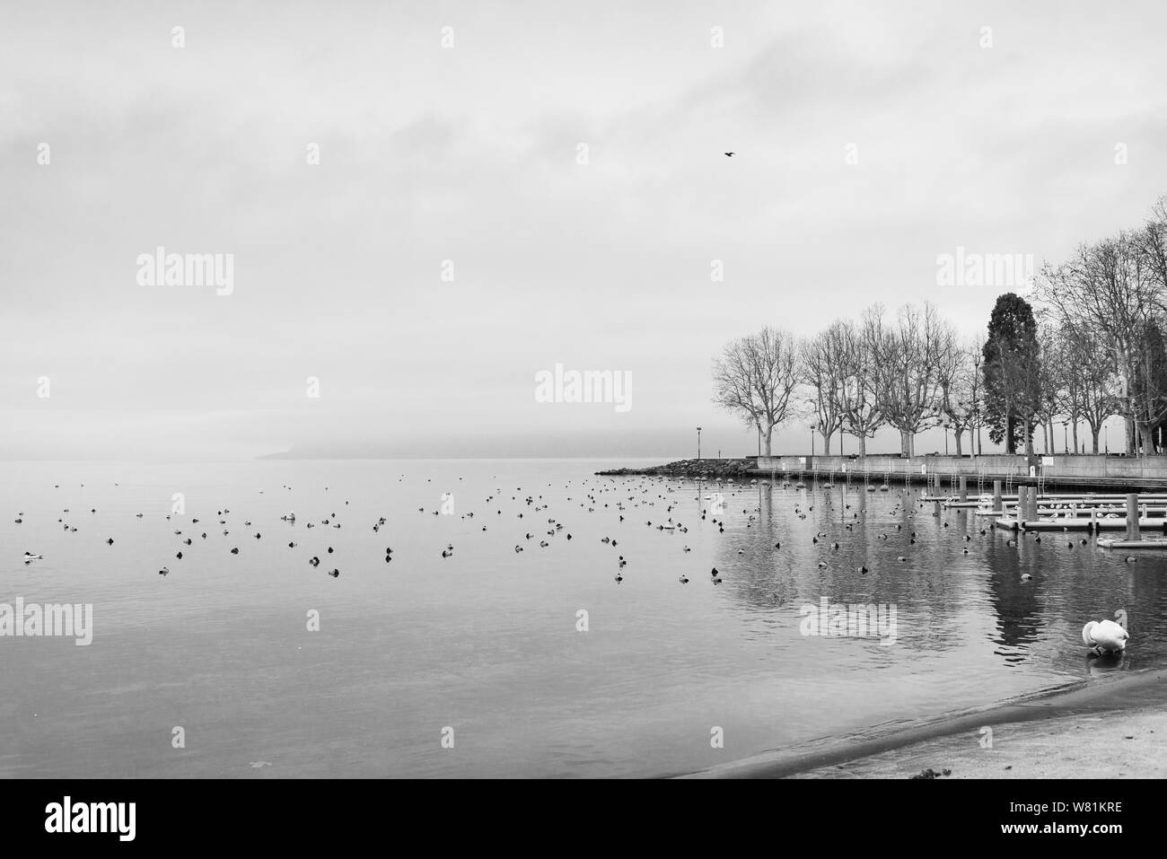 Ruhige dramatische schwarze und weiße Ton der neblig und bewölkt Genfer See mit Bojen mit Hintergrund der Wasserseite und Reichweite von Alp Berg. Stockfoto