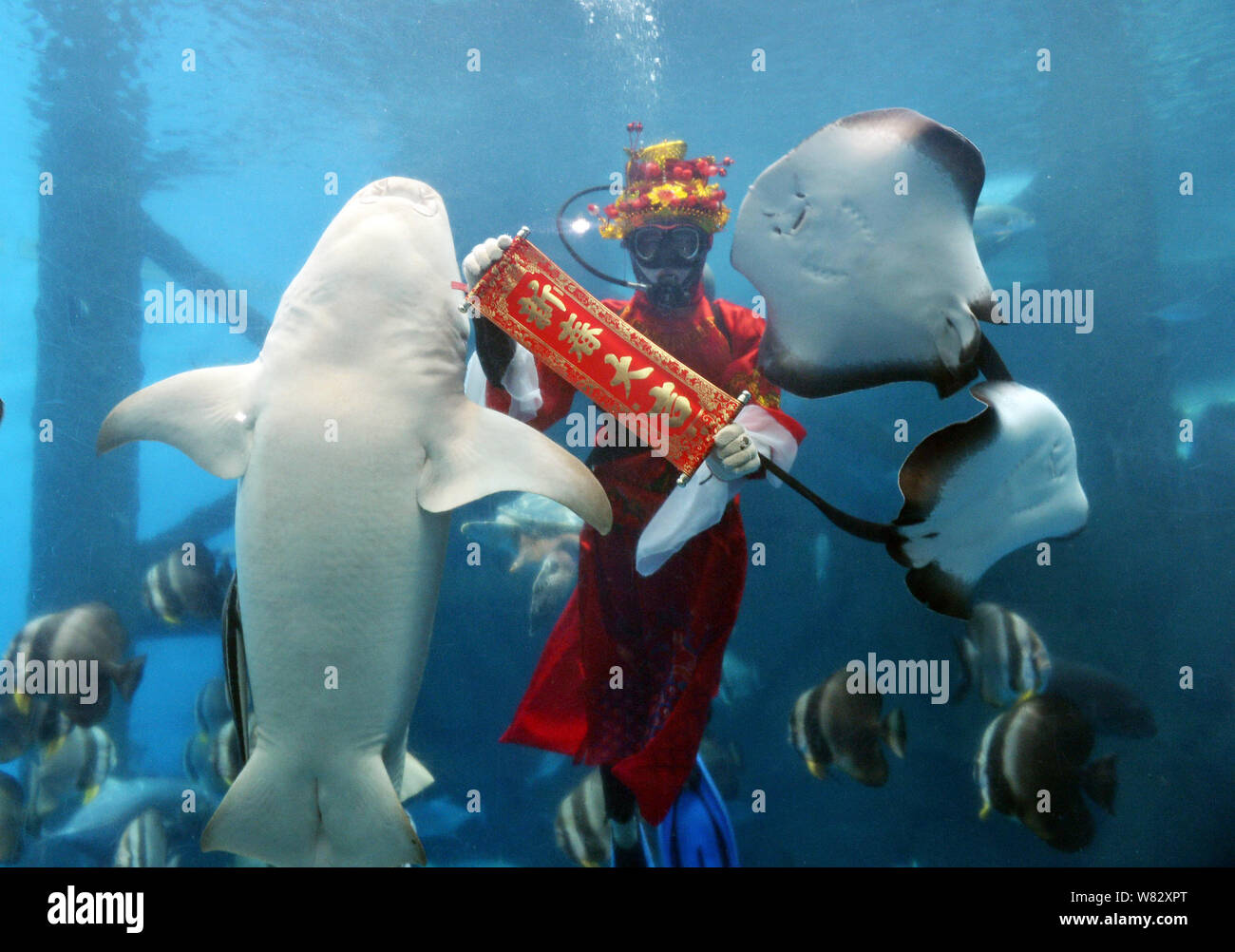 Ein Trainer gekleidet, wie der Gott des Wohlstandes in einem Tank in einem Aquarium in Hefei City führt, im Osten der chinesischen Provinz Anhui, 23. Januar 2017. Eine Trai Stockfoto