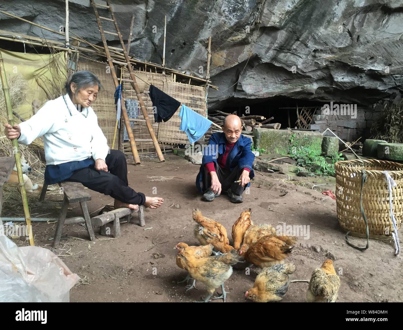 Ältere Chinesische paar Liang Zifu, rechts und Li Suying feed Hühner außerhalb einer Höhle, in der sie für 54 Jahre gelebt haben, in der Nähe der Nanchong City, South Stockfoto