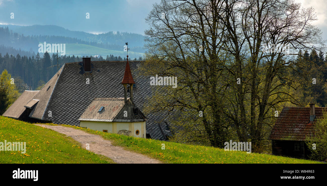 Alte Schwarzwälder Bauernhof in der Nähe von Hinterzarten, Deutschland Stockfoto