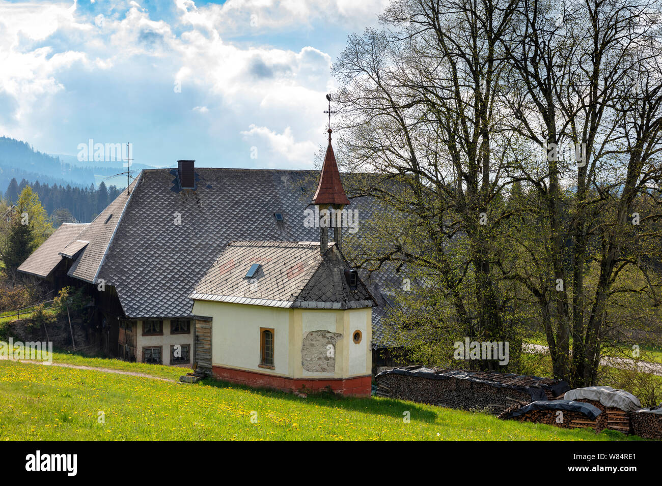 Alte Schwarzwälder Bauernhof in der Nähe von Hinterzarten, Deutschland Stockfoto