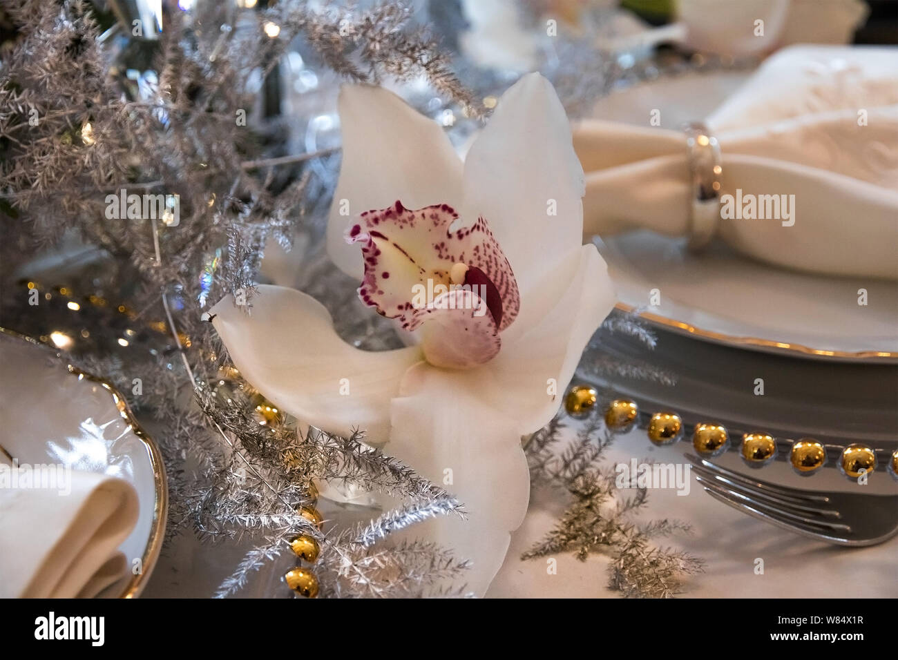 Orchidee und messer -Fotos und -Bildmaterial in hoher Auflösung – Alamy