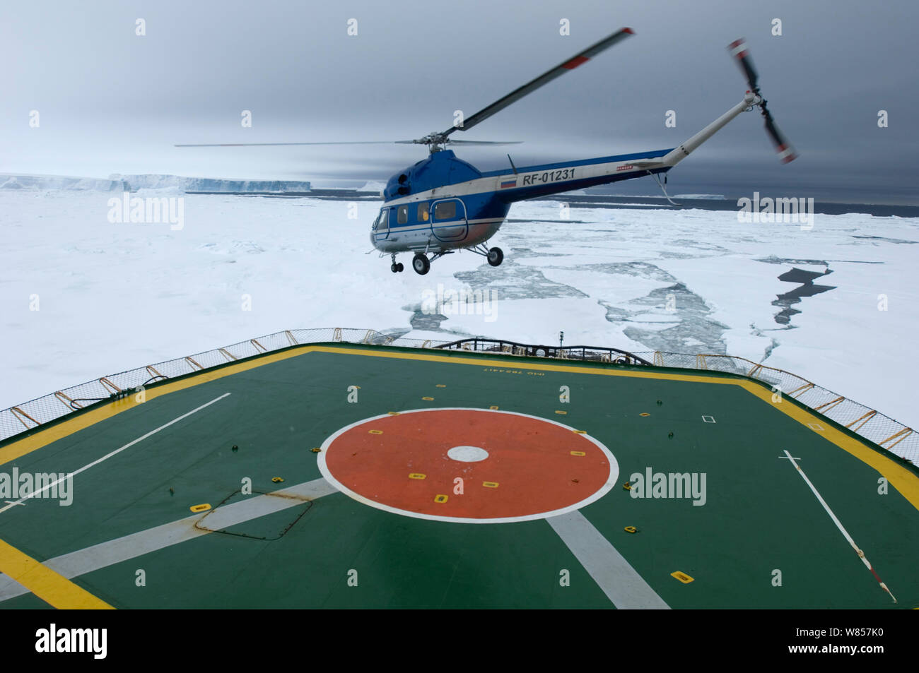 Touristische Hubschrauber vom Heli-Deck von Ice-breaker, auf dem Weg zum Snow Hill Island Kaiser Pinguin Kolonie, Weddellmeer, Antarktis, November 2006 Stockfoto