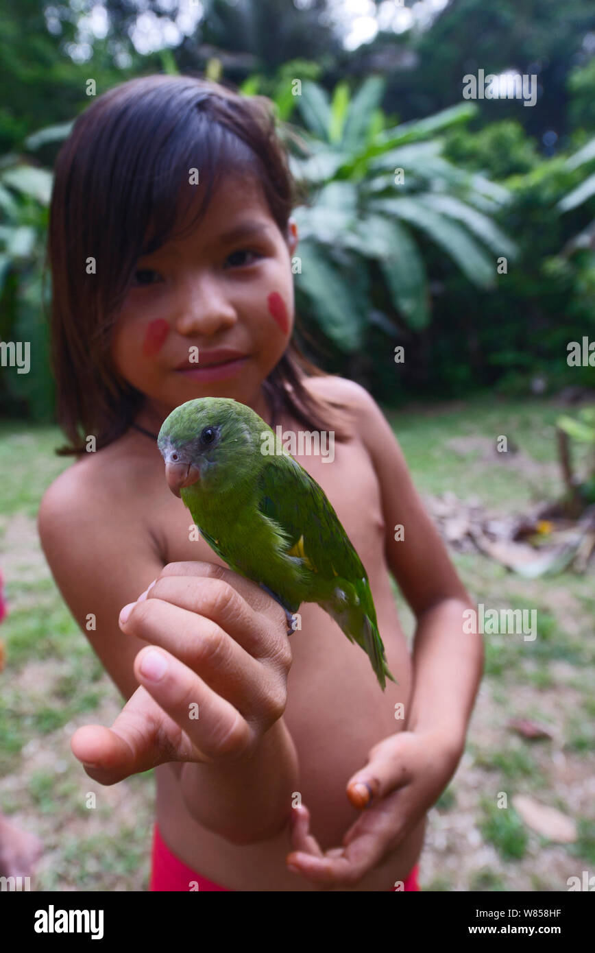 Junge Mädchen mit Yaguar pet-White-winged Parakeet (Sperlingsvögel versicolurus) im Dorf auf der Amazon stromaufwärts von Iquitos, Peru Stockfoto
