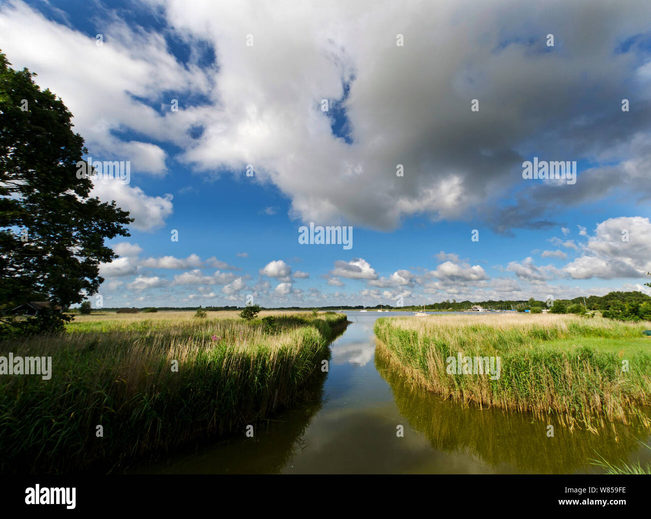 Hickling Broad im Sommer, Norfolk, Großbritannien, Juni Stockfoto