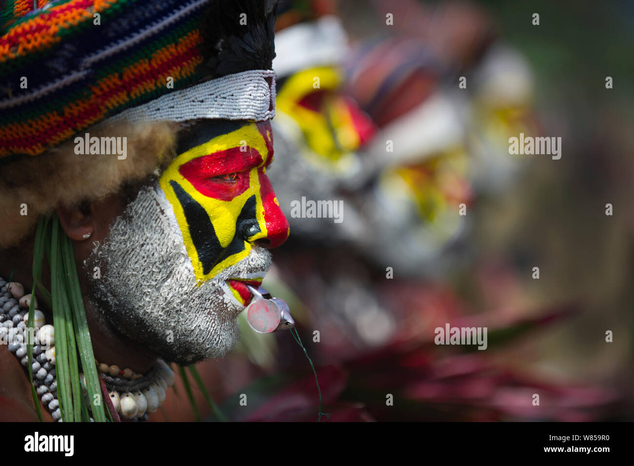Mitglied der Sing-sing Gruppe aus Tambul, Western Highlands Mount Hagen Show, Papua-Neuguinea, August 2011 Stockfoto